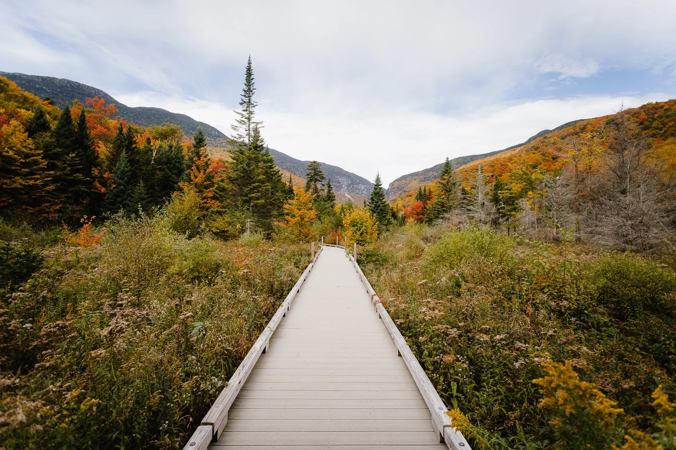 Stowe, VT - October, 2022-2.jpg