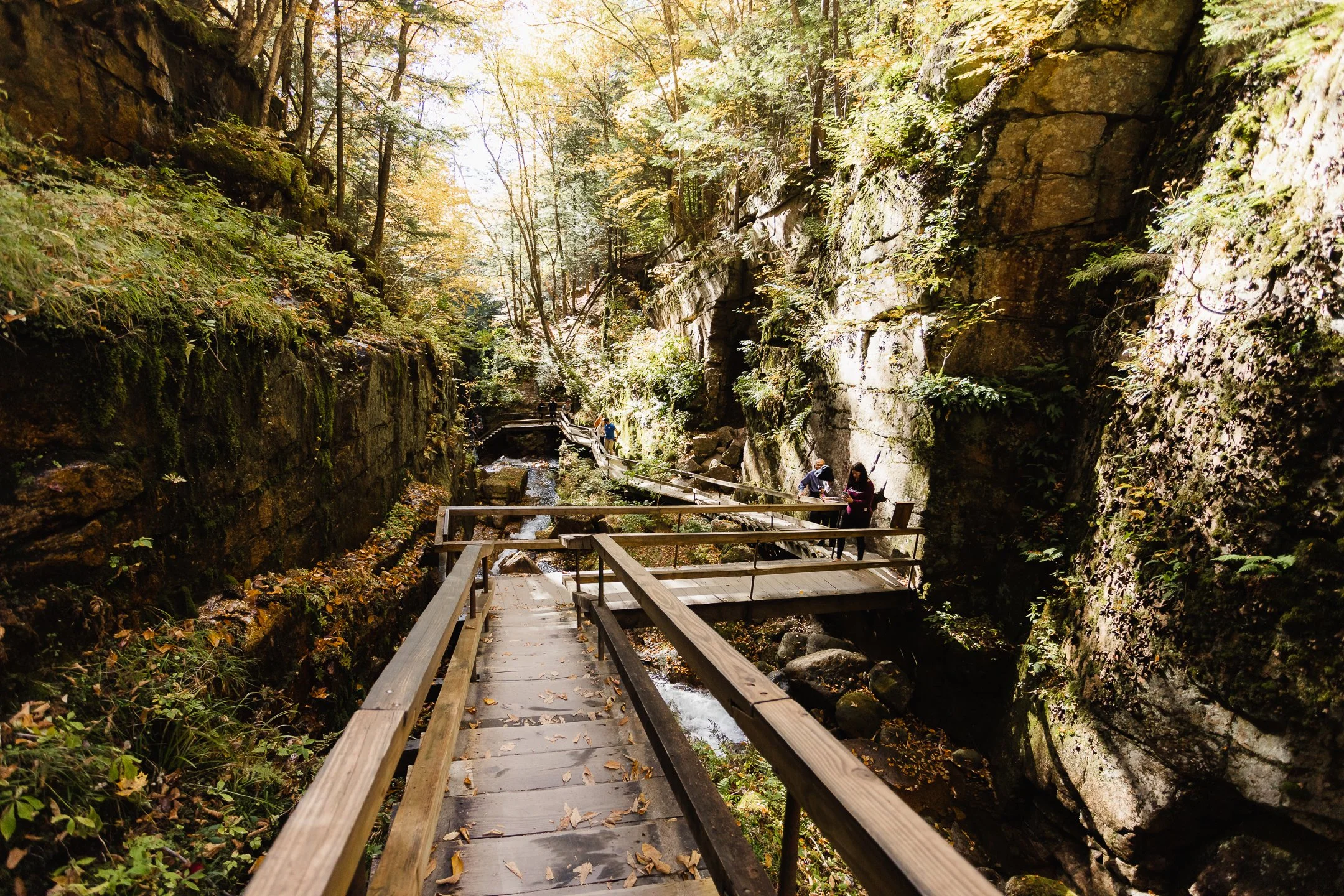Hiking the Flume Gorge Trail in Franconia Notch State Park