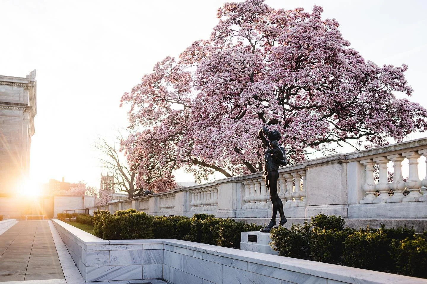 Went out for a sunrise in the first time in god knows how long 🌸

&hellip;
#universitycircle #thisiscle #inthecircle #springinohio #clevelandmuseumofart #ohiofindithere #ohiosunrise #teamcanon #cherryblossoms