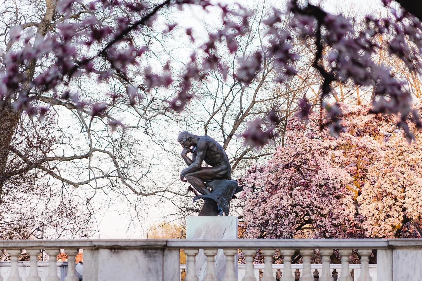 Pretending it&rsquo;s last week when it was summer temps and gorgeous outside. 🌸🫶🏼

&hellip;
#universitycircle #inthecircle #thisiscle #clevelandart #thethinker #magnoliatrees #springinohio #teamcanon