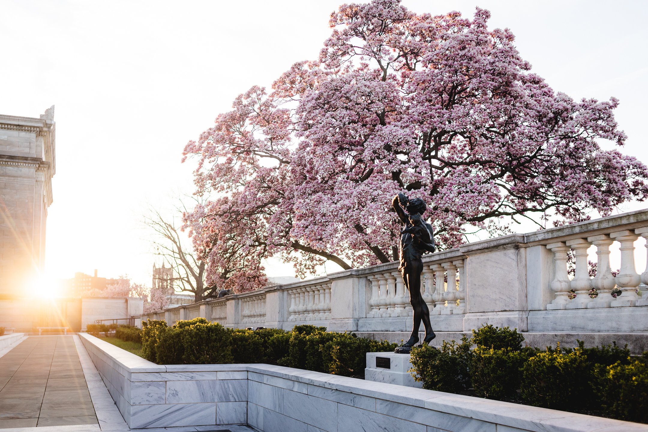 CMA Wade Lagoon - April, 2023-6.jpg