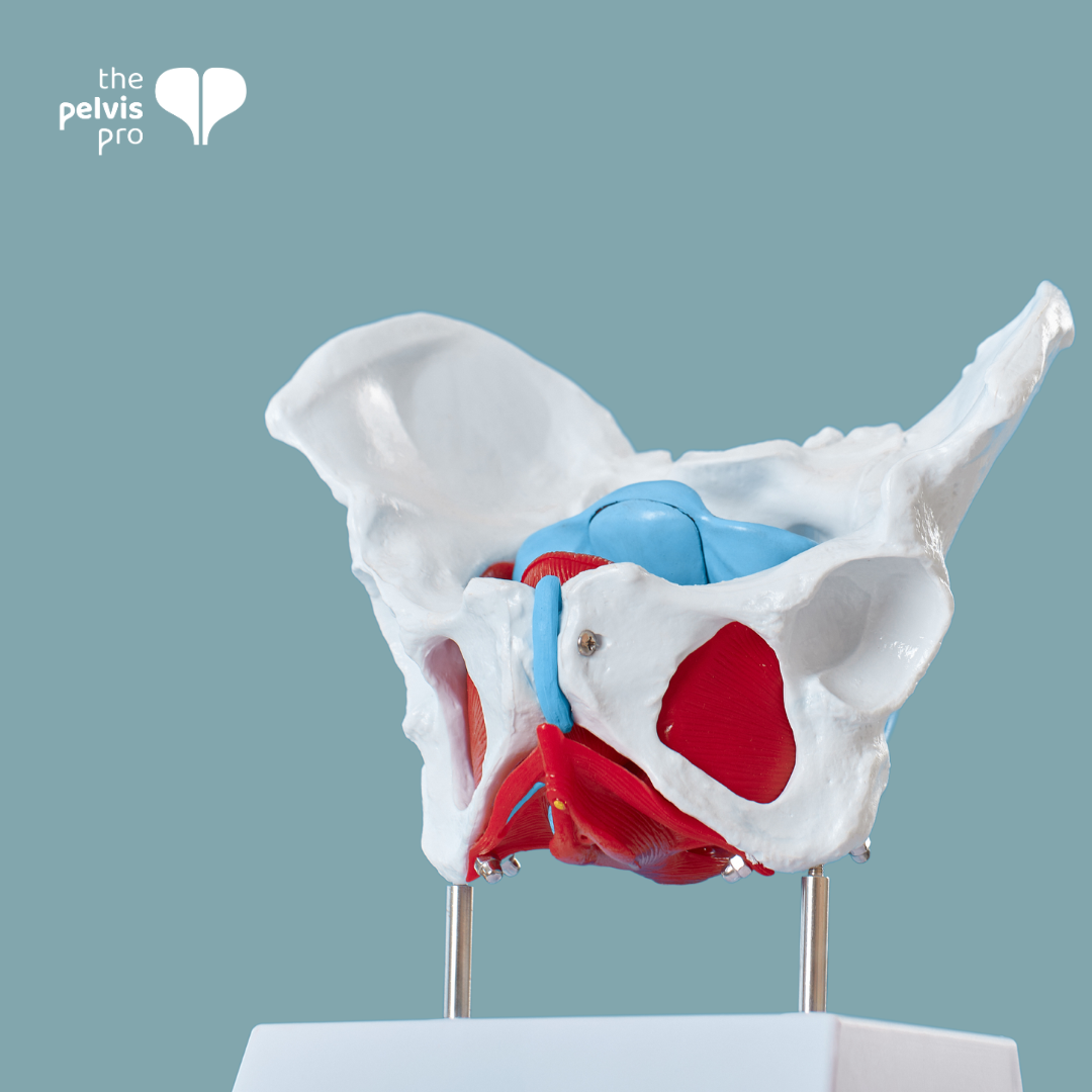 Understanding the Different Types of Prolapse in Women