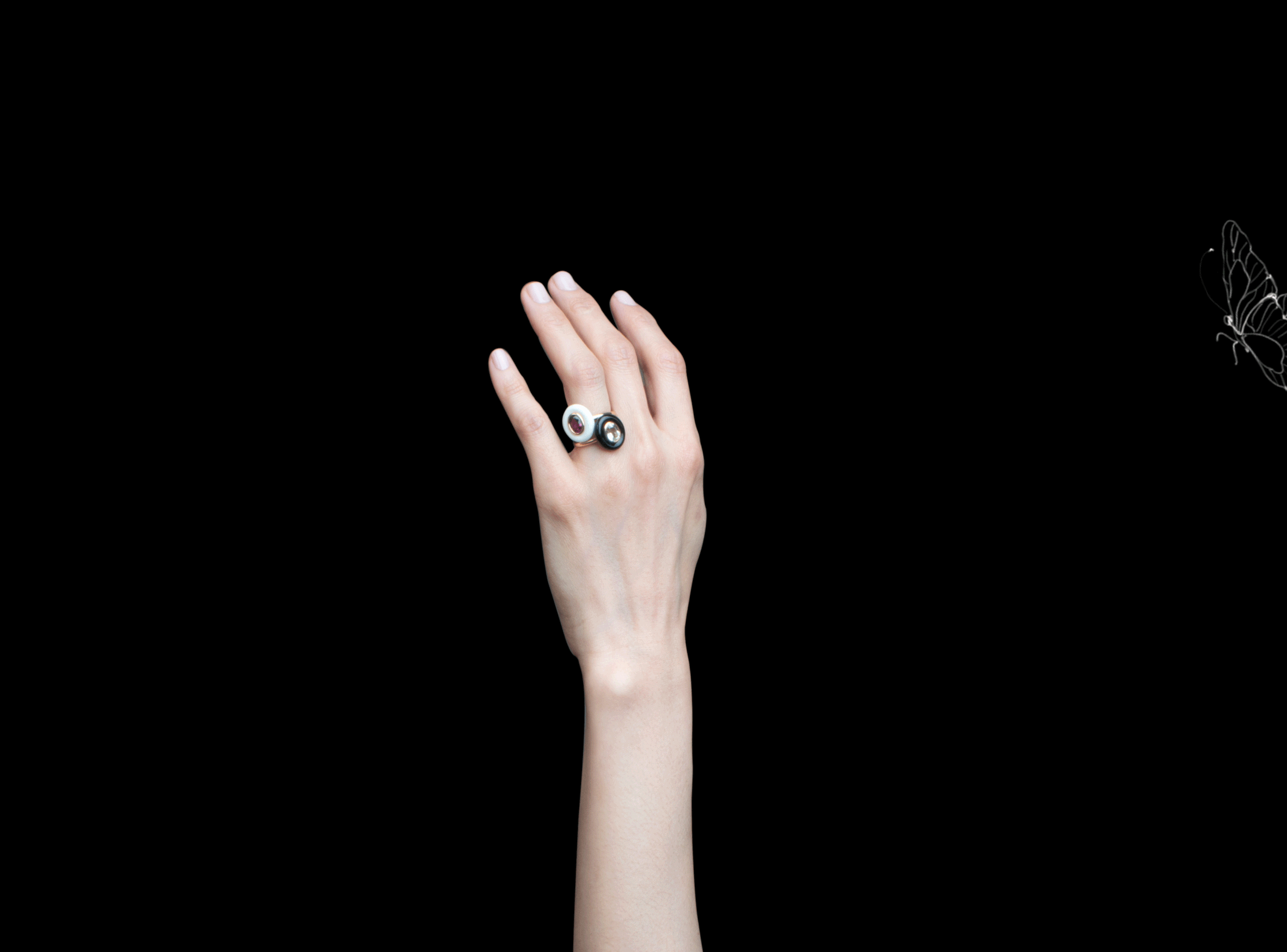 butterfly-2.gif