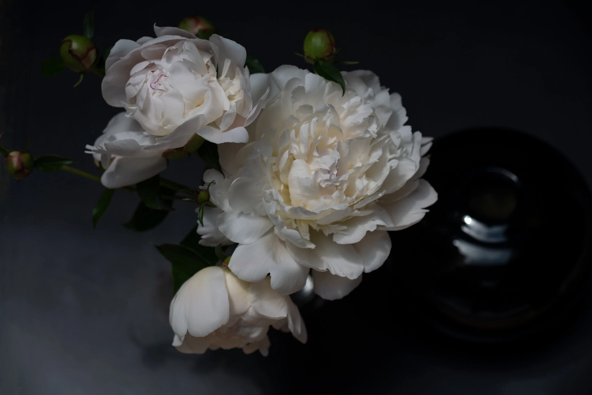 onTheTableL_L1000072.jpg