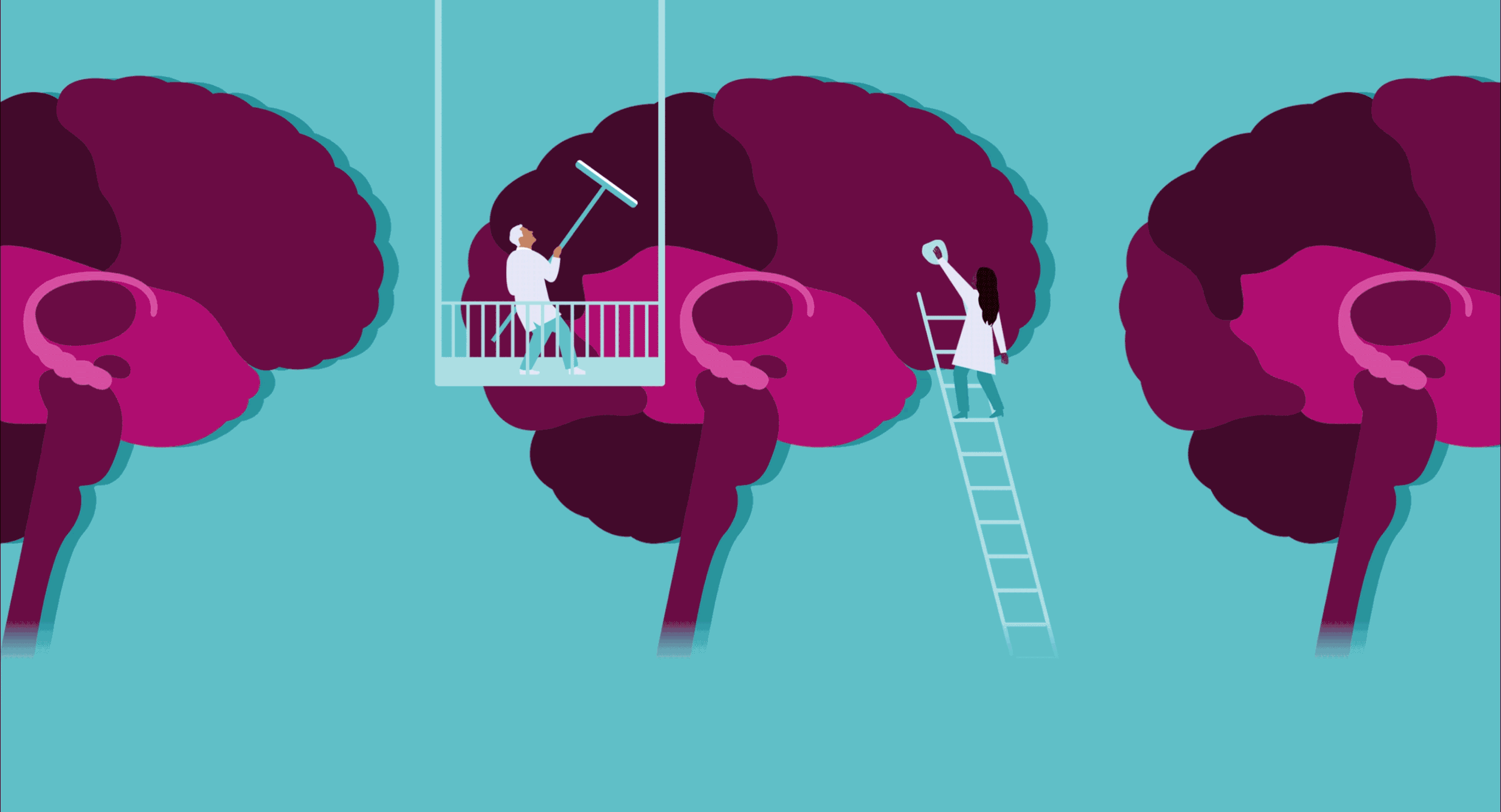 UCSF_BrainAnimation_F copy.gif