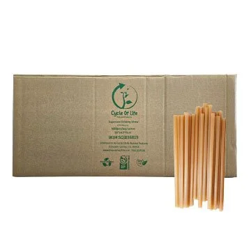 Sugarcane cocktail straw box with straws JPEG.jpg