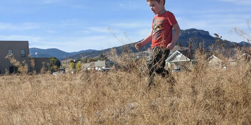 wilderness training at daycare.jpg