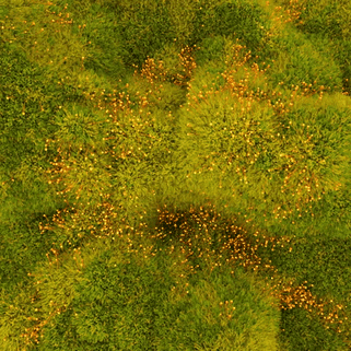 Animated GIF-downsized_large (2).gif