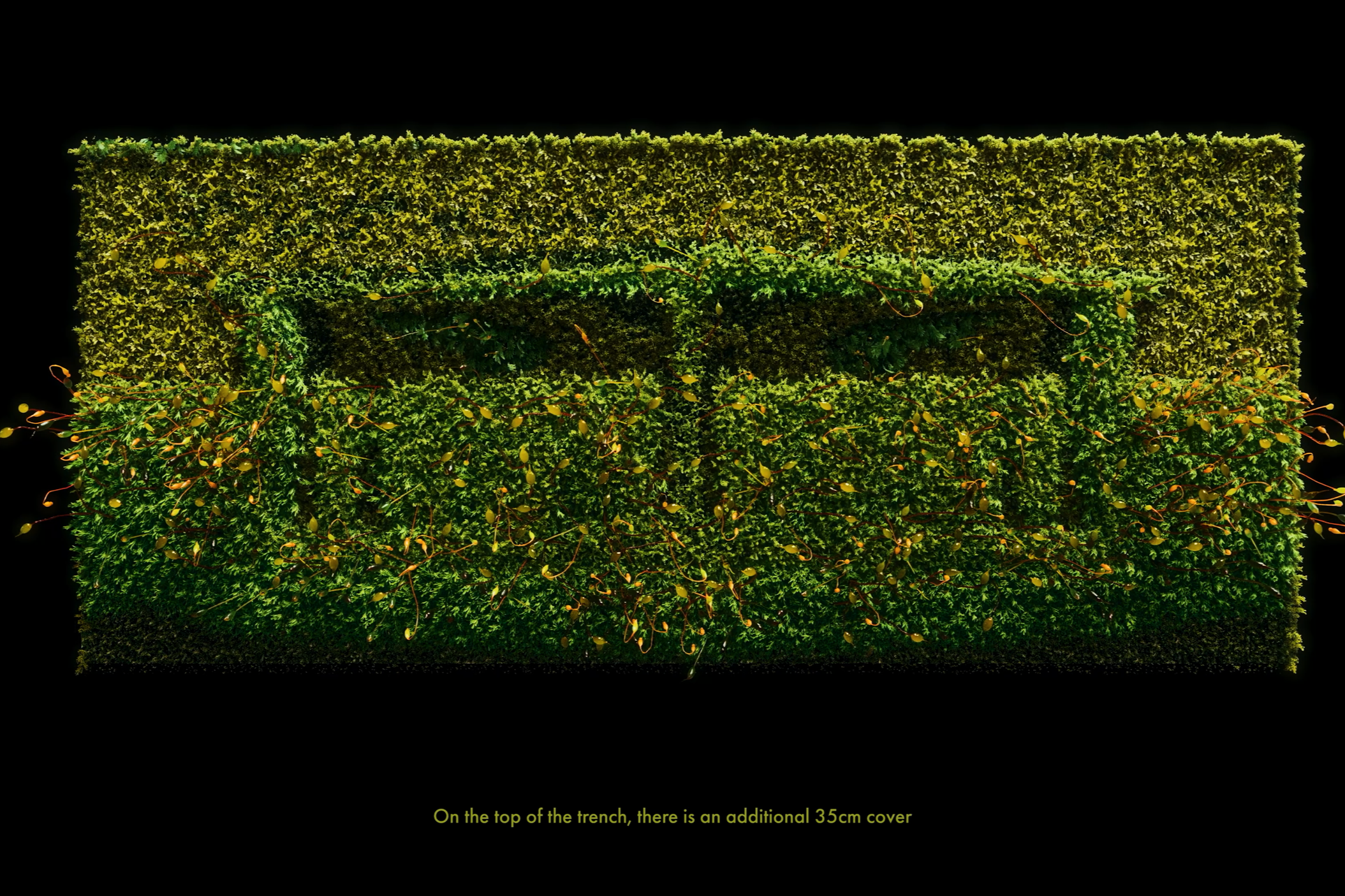 Welcome to Low-Level Radioactive Storage Site