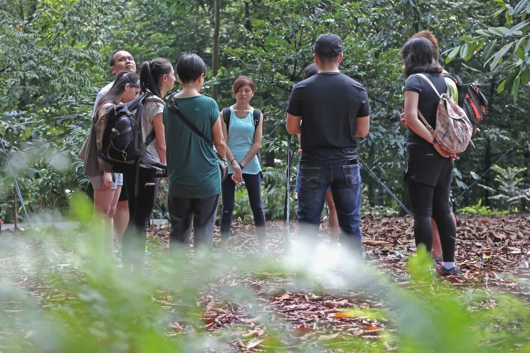 projects | forest bathing, nature therapy, yoga nidra, rest, for team building, wellness, staff wellbeing, retreats
