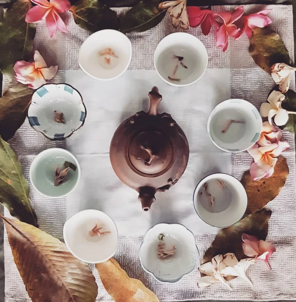 forest bathing, nature therapy, yoga nidra, rest programmes and projects