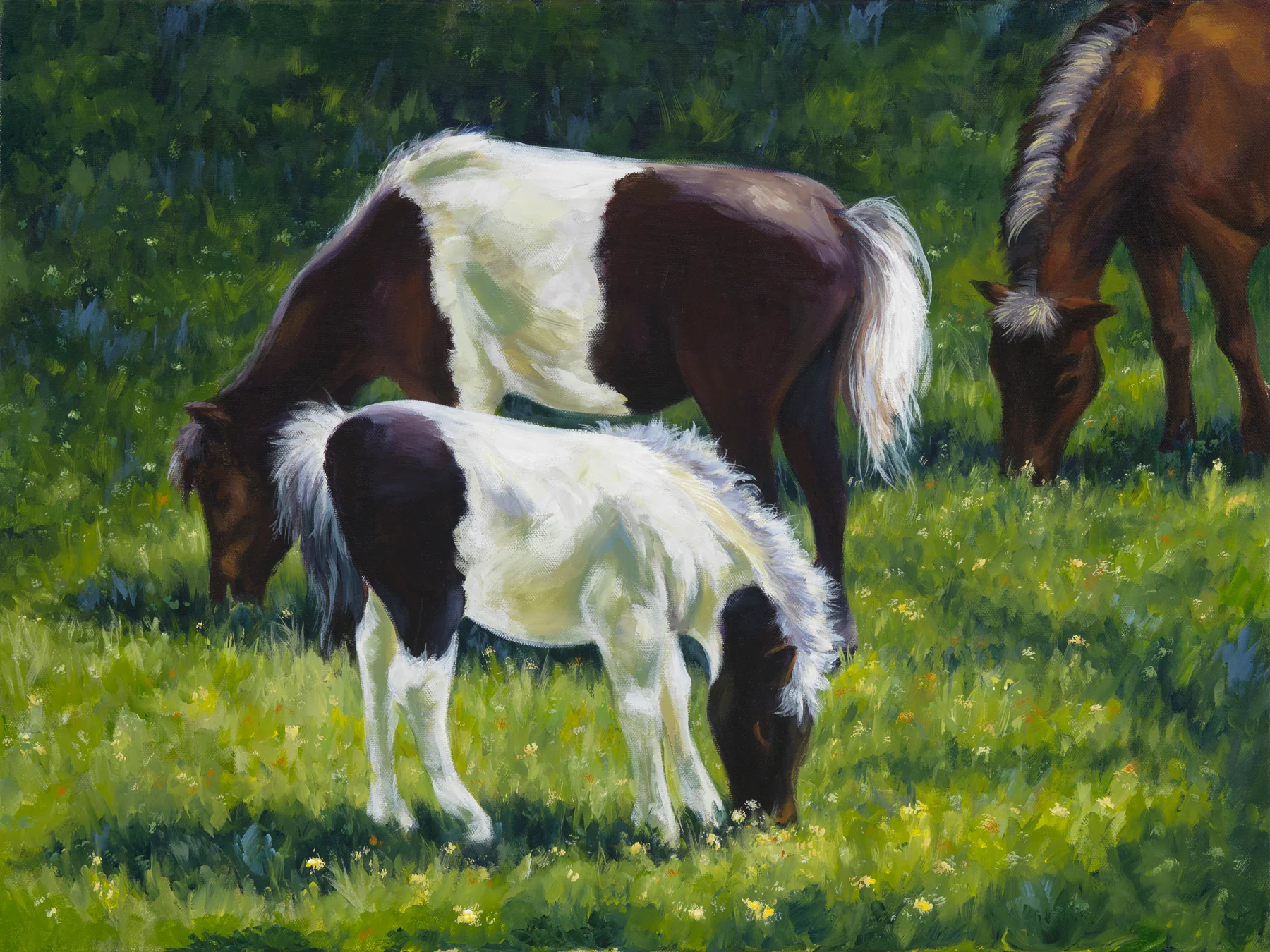 Horses.jpg