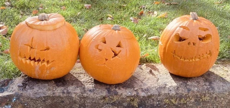 Happy Halloween Tuesday 27th October 2024 10pm - 12 noon