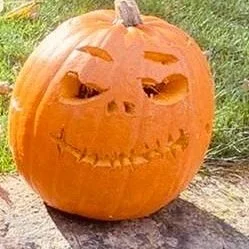 image_6487327%2B%2528Pumpkins%2B2.jpg