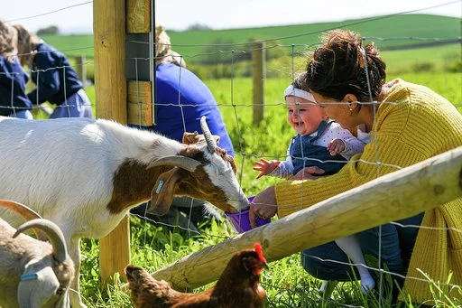Pop Up Play Session Wednesday 6th August 2025 AM