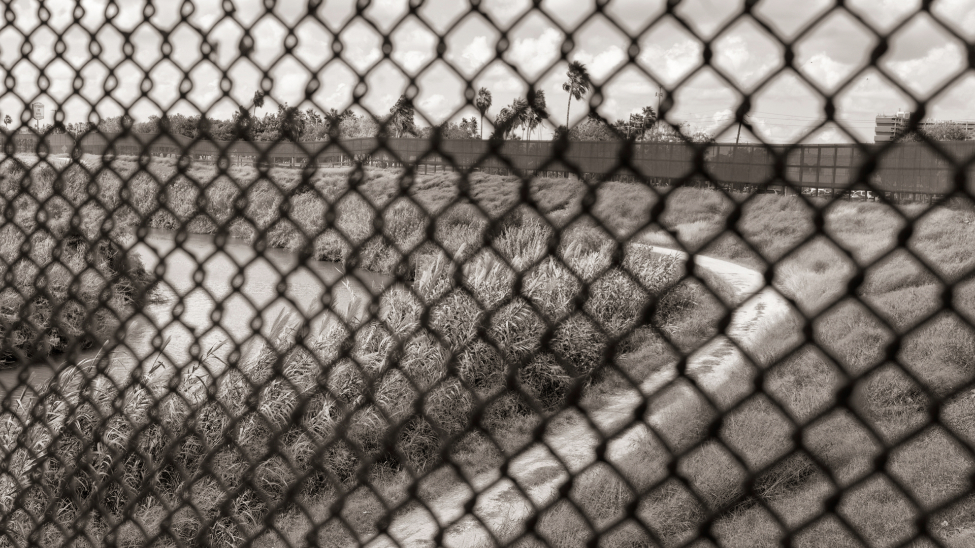 image4.fence and wall.jpeg