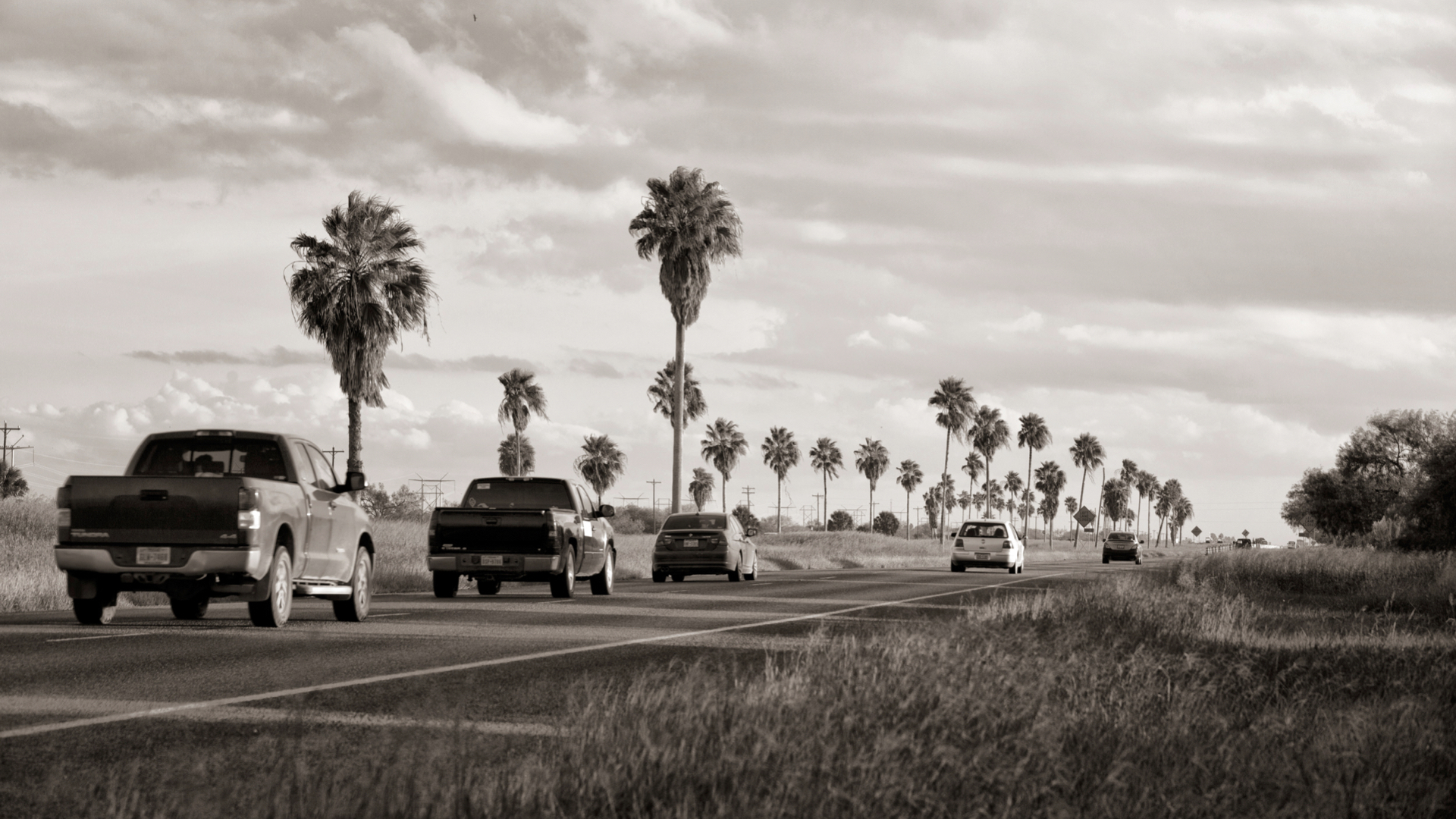 image2.palm tree highway.jpeg