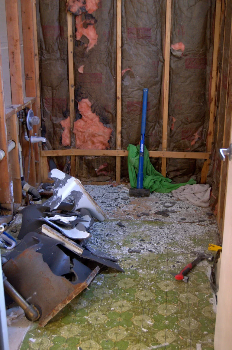 Bathroom-Renovation-Jeffrey-Court-Always-Never-Done-week-2-07.jpg