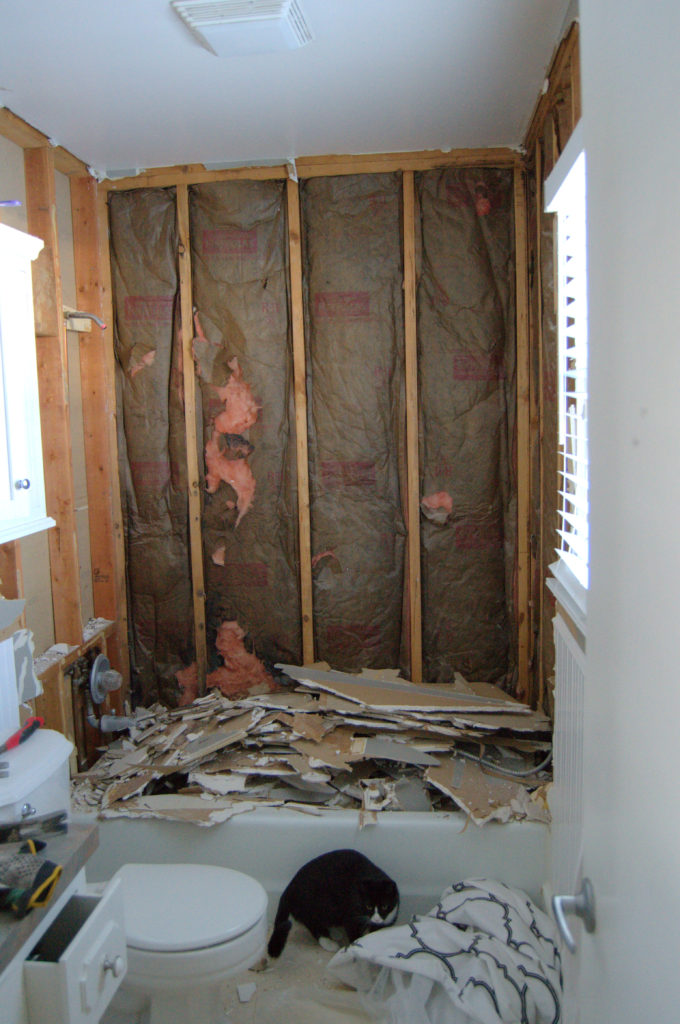 Bathroom-Renovation-Jeffrey-Court-Always-Never-Done.-6-680x1024.jpg