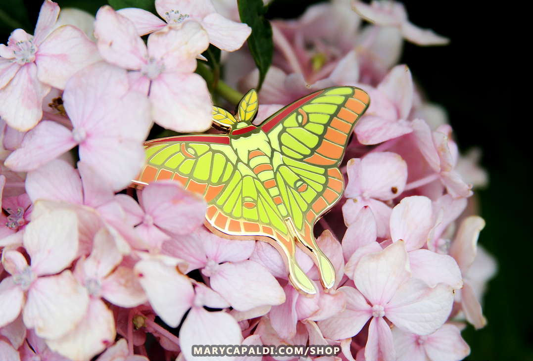 Celestial Insects Shield Bug Pin — The Art of Moth Monarch