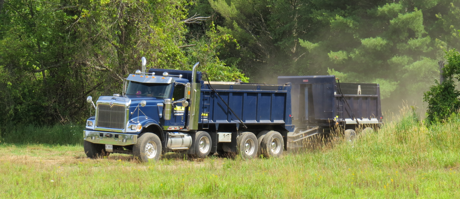 BlueTruck-Bush.png