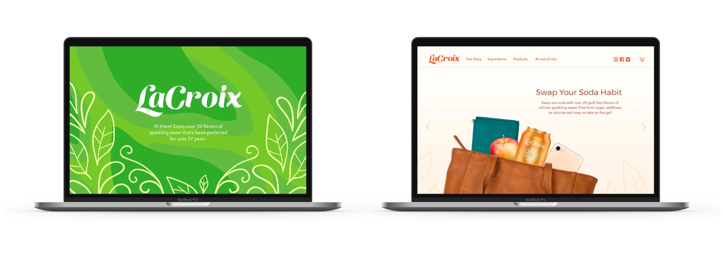 La+Croix+Wesbite+Mock+for+Website-04.jpg