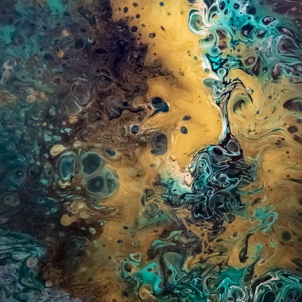 untitled-8507346 copy.jpg