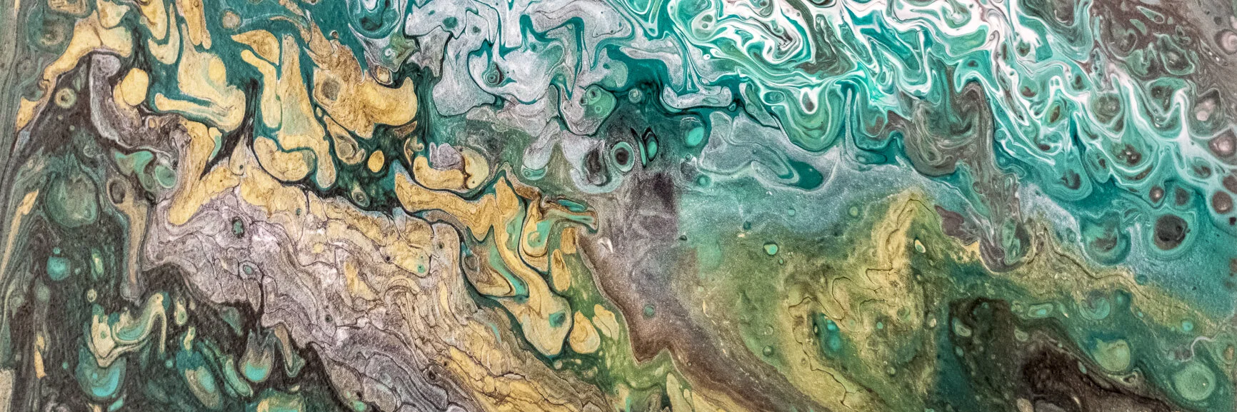 _8507008-Enhanced copy 2-2.jpg