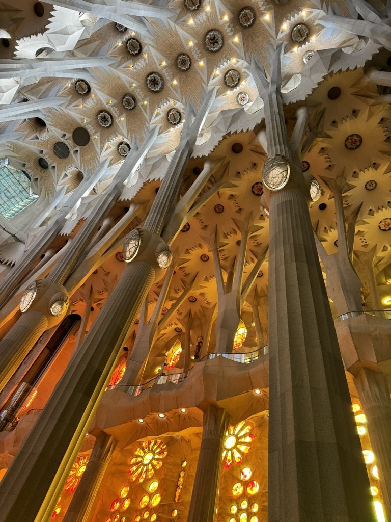 9D5C6AA7-4FAF-4DBA-A3A6-C4F62E7FC861_1_105_c.jpeg