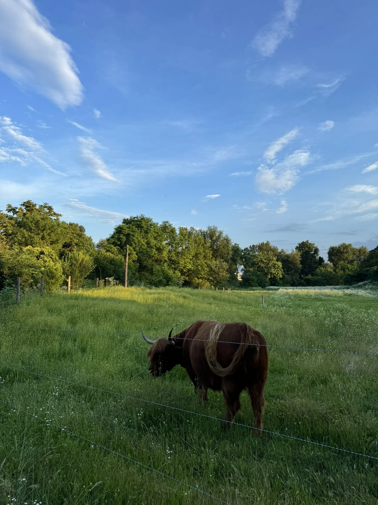 A Week Immersed in Italy’s Sustainable Food Systems