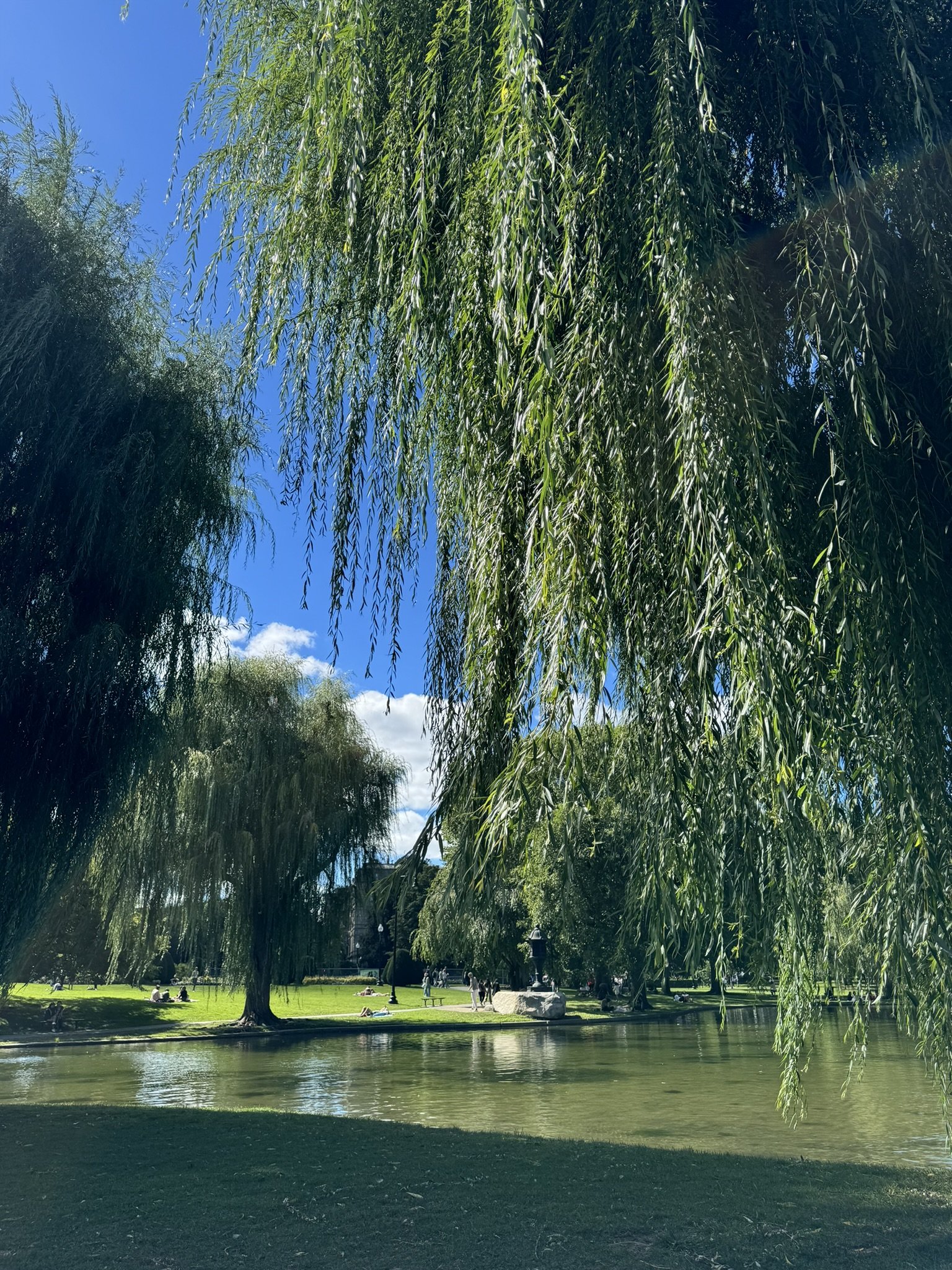 Boston Weekend Favorites