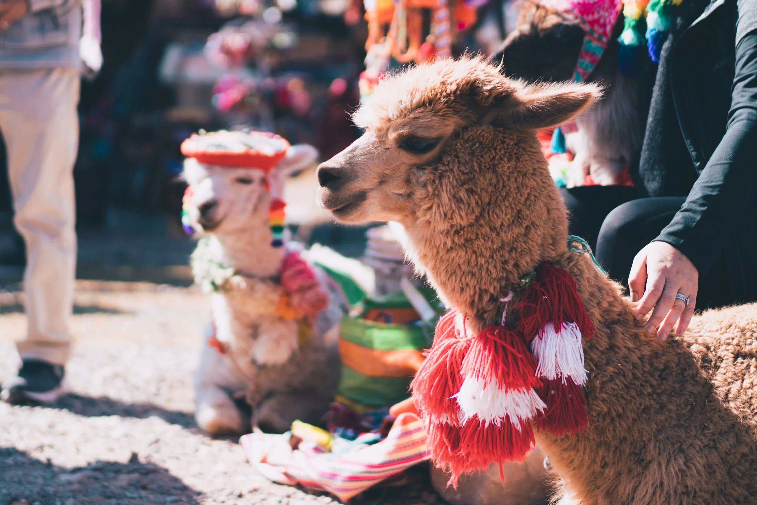 Peru - www.thombartley.com-12.jpg