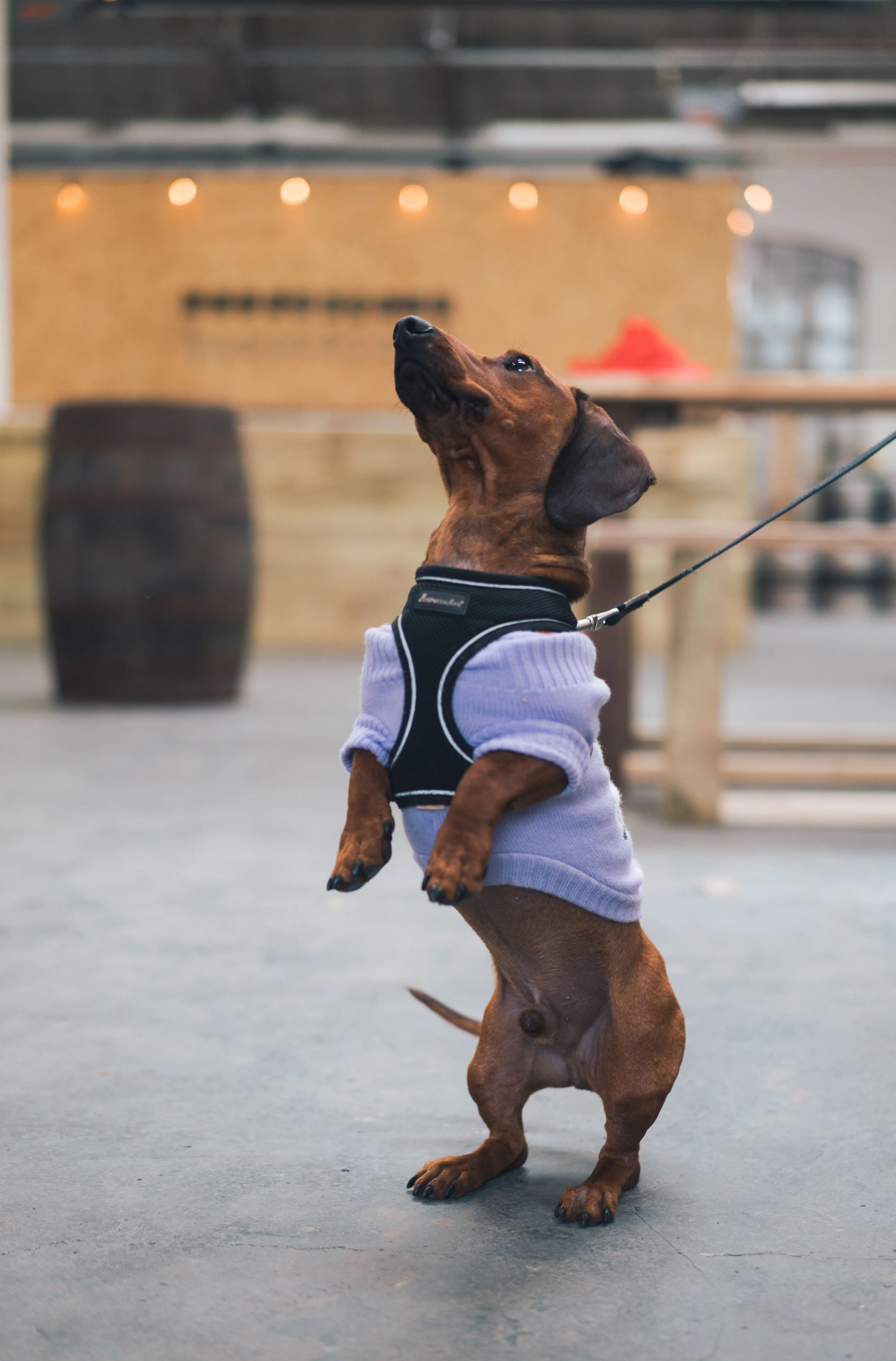 ICB Attic Brewery - www.thombartley.com-25.jpg