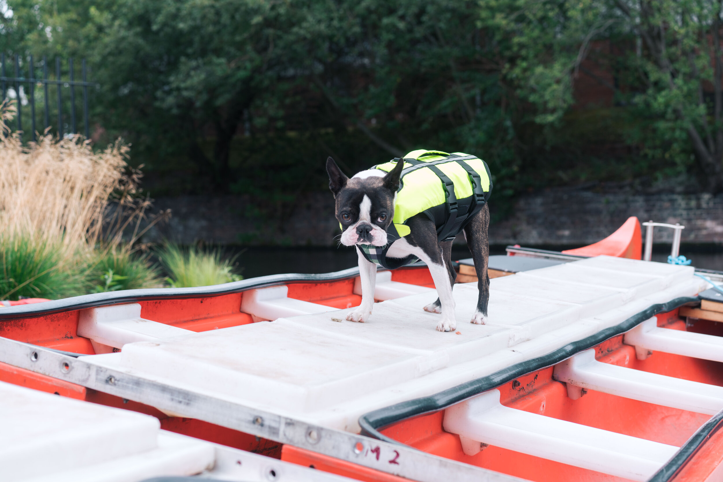 Port Loop - www.thombartley.com-130.jpg