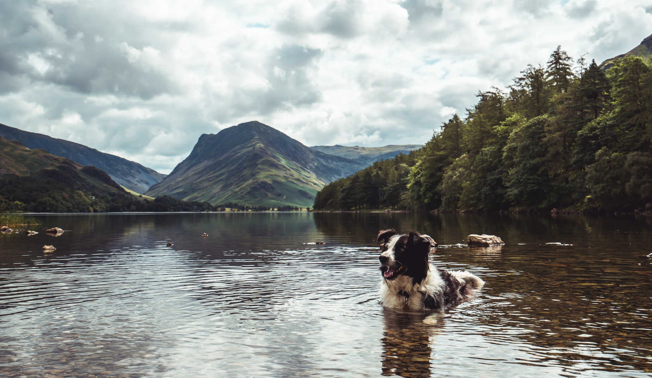 Lake District - www.thombartley.com-1-2.jpg