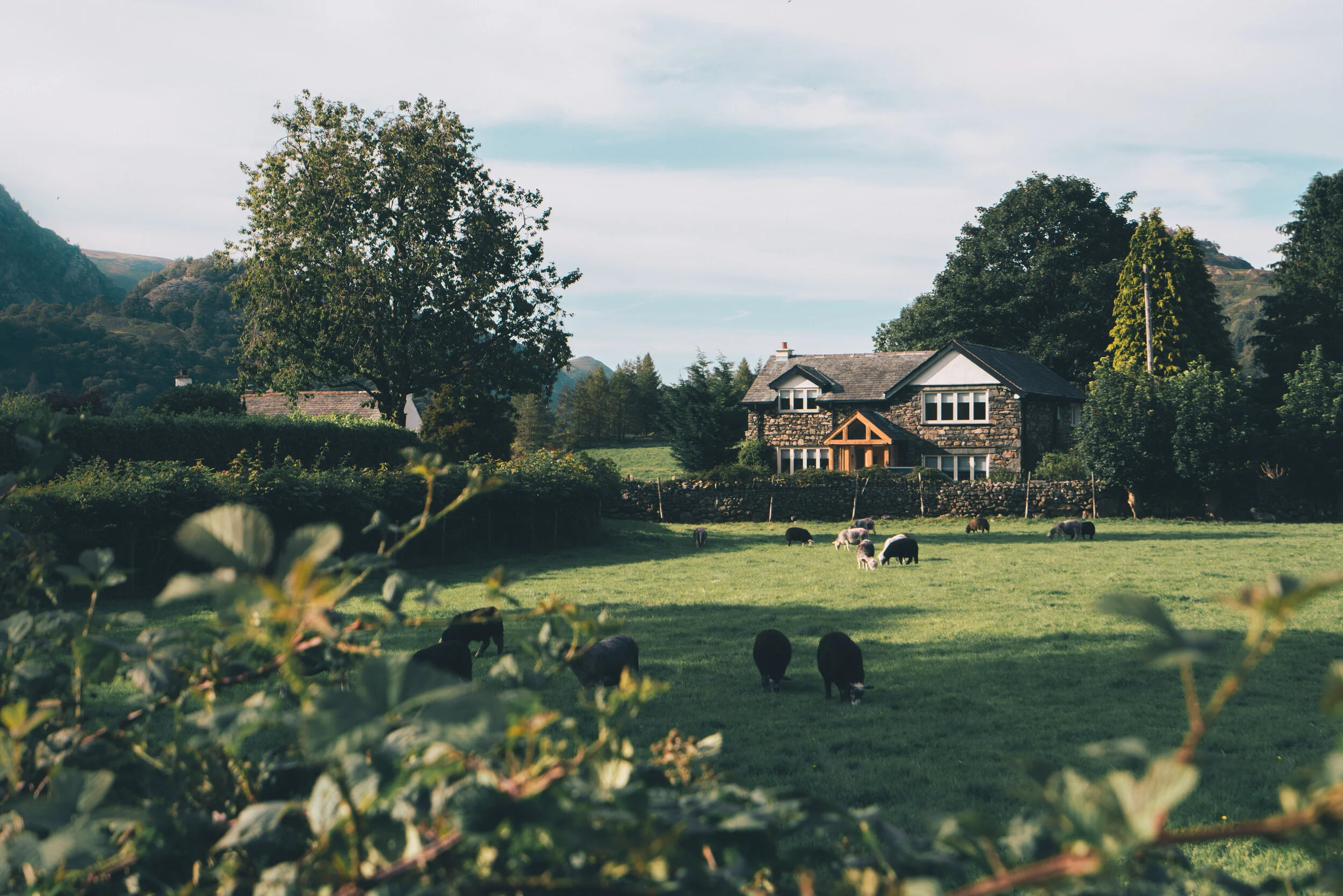 Lake District 2020 - www.thombartley.com-4.jpg