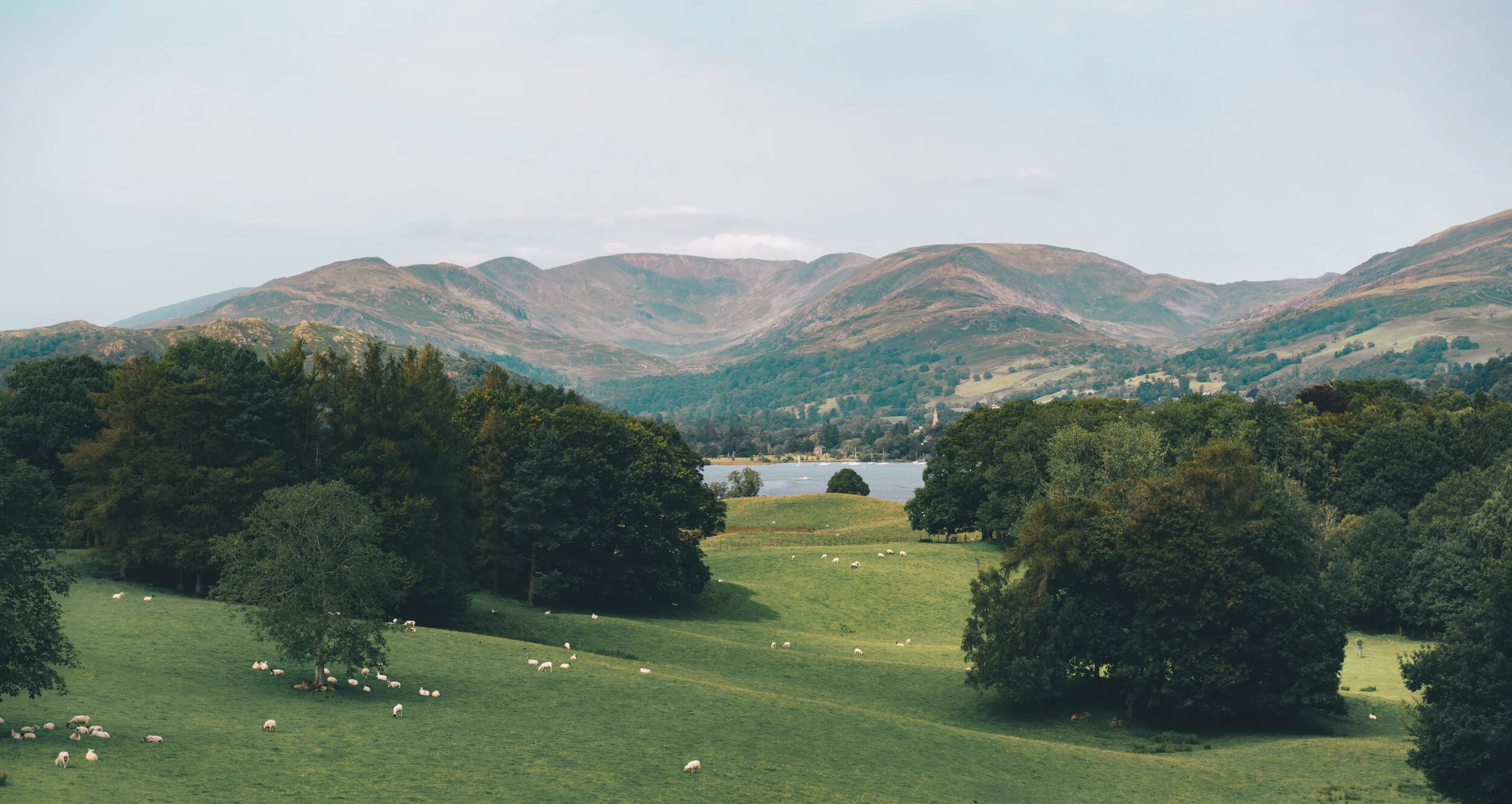 Lake District 2020 - www.thombartley.com-12.jpg