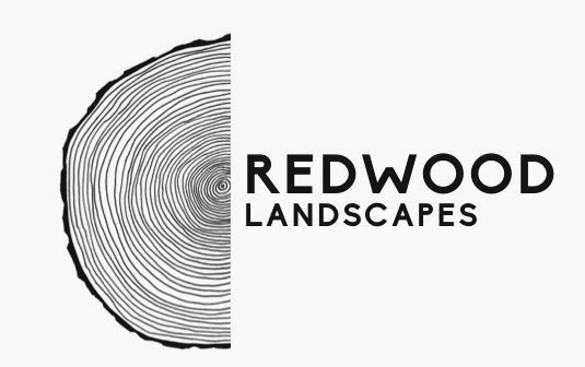 Redwood Landscapes