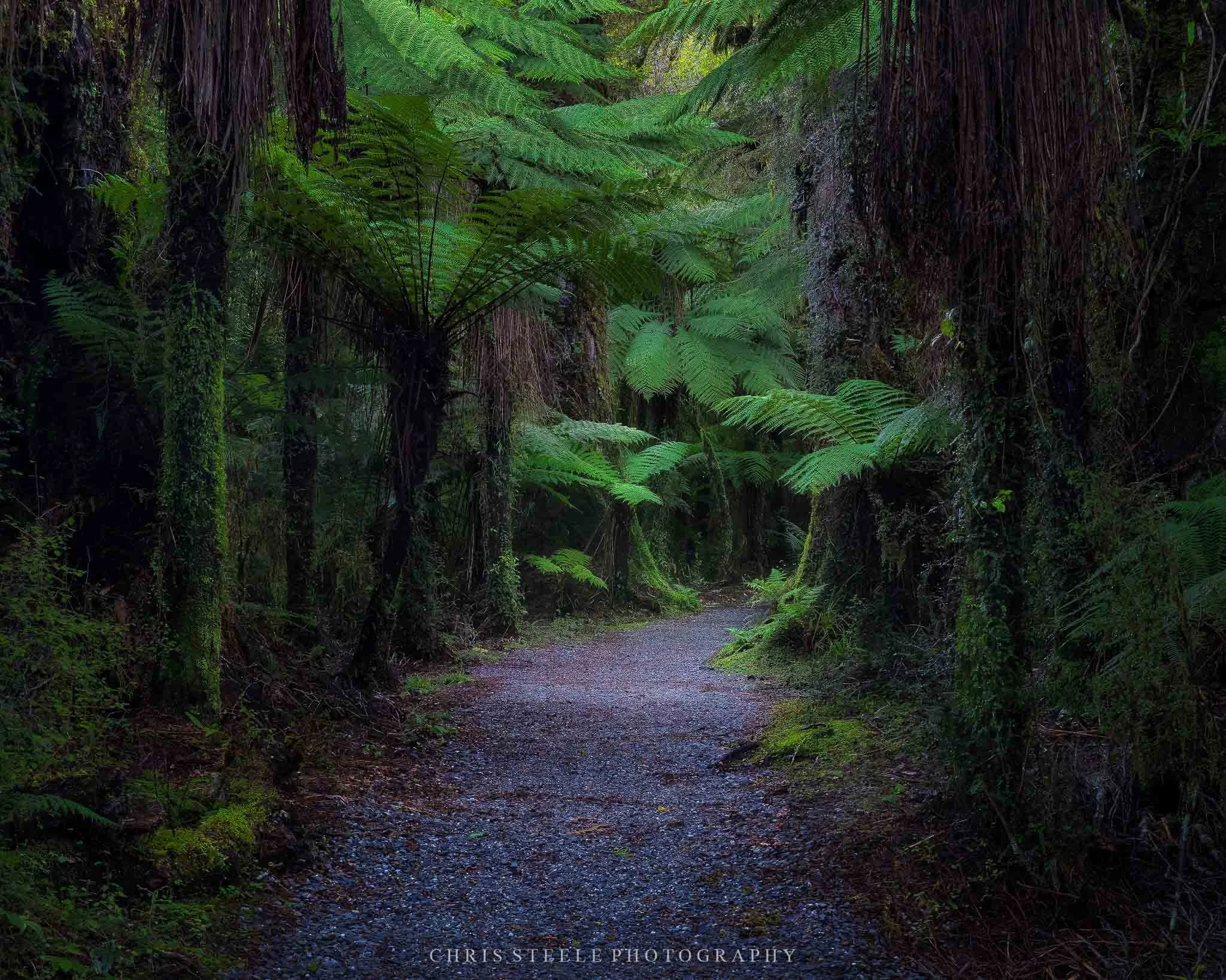 Katote Forest Trail