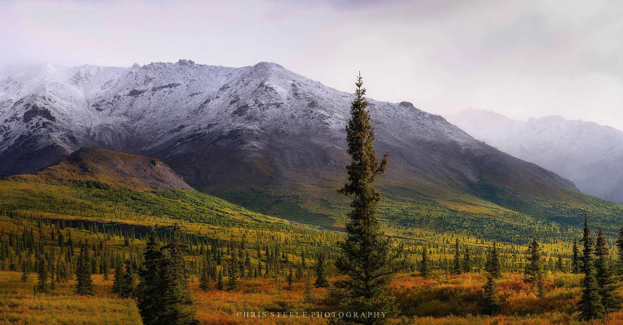 Denali Morning