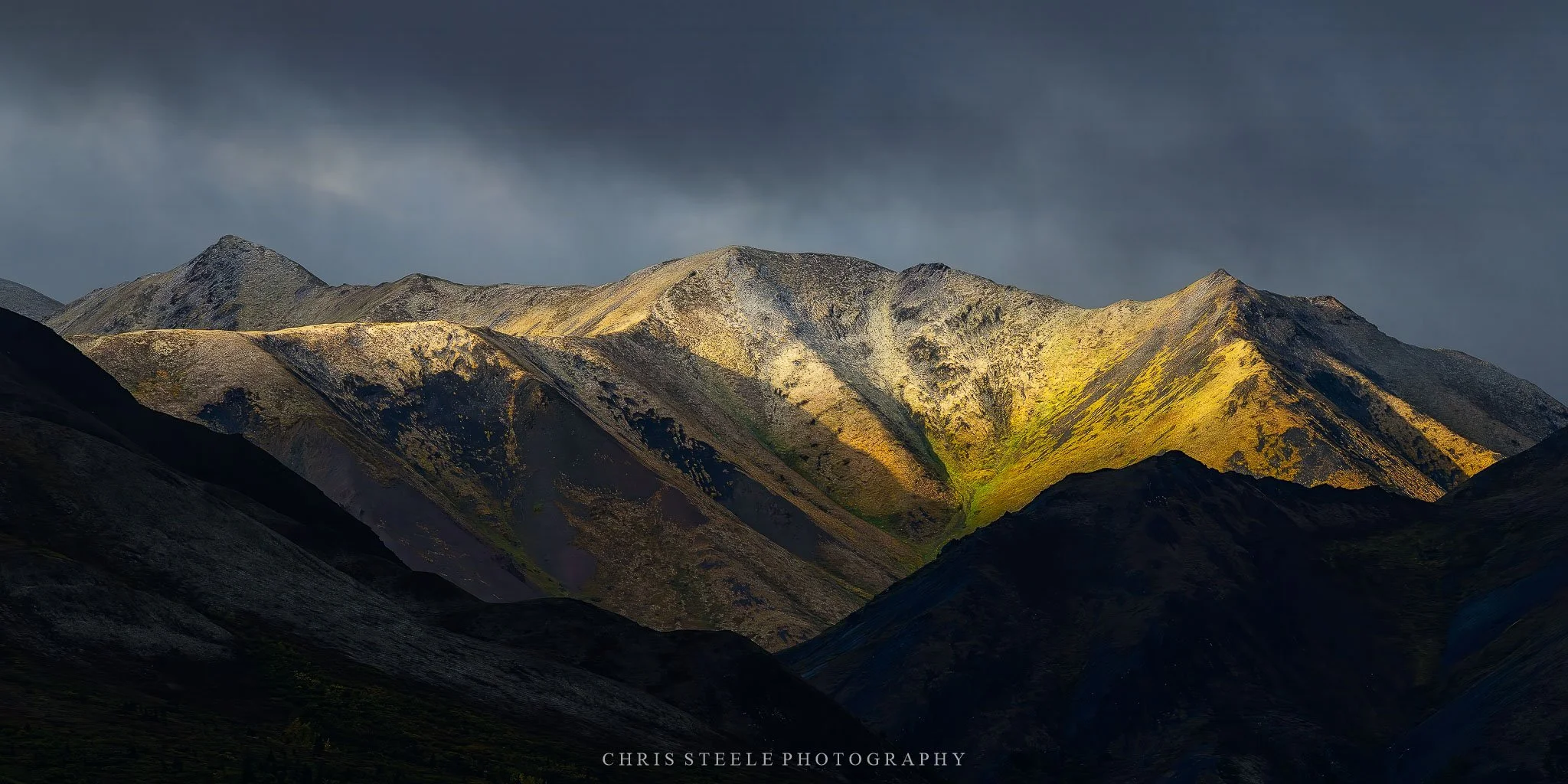 Denali Morning