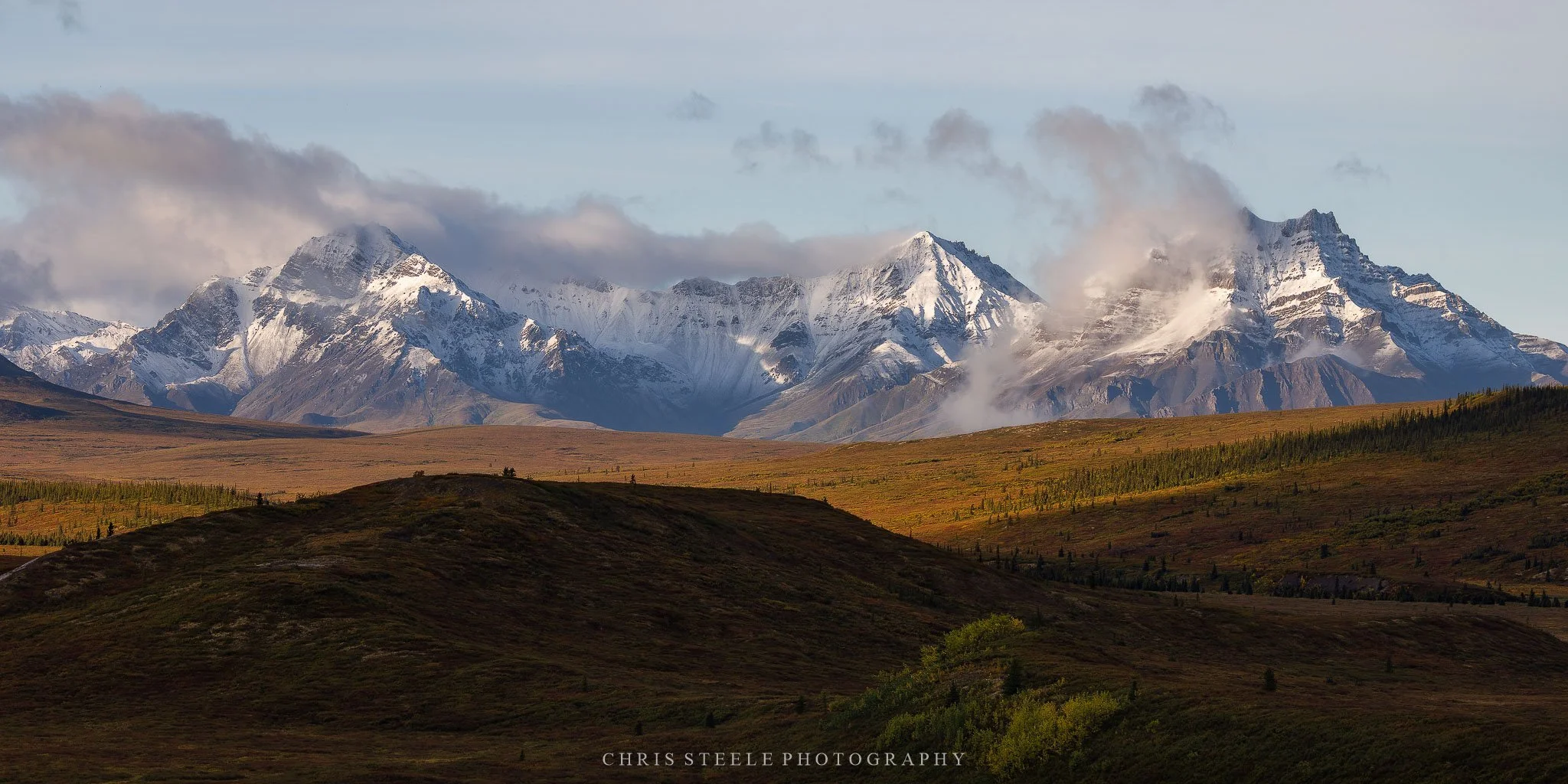 Morning in Denali