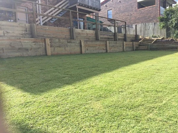 Turf.jpg