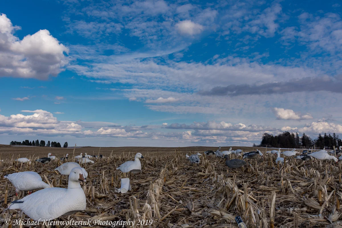 D750/D7200 - Spring Snows 2019