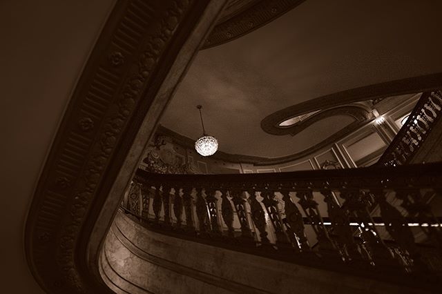 During the @outofchicago conference, we were lucky enough to get a tour of the Chicago Theater; which was amazing. @nenad.spasojevic and @rmsbaker led the excursion. I don't normally do architecture and it was overwhelming for a minute trying to find unique angles. And Nenad gave me some tips and I was able to get this shot...this was my first time experimenting with bracketing in a long time.
What have you tried that is out of your comfort zone?
#chicago #chicagotheater #stairwell #stairs #chandelier #chicagoarchitecture #chicagotheatre #architecture #choosechicago #chitown #downtownchicago #instachicago
