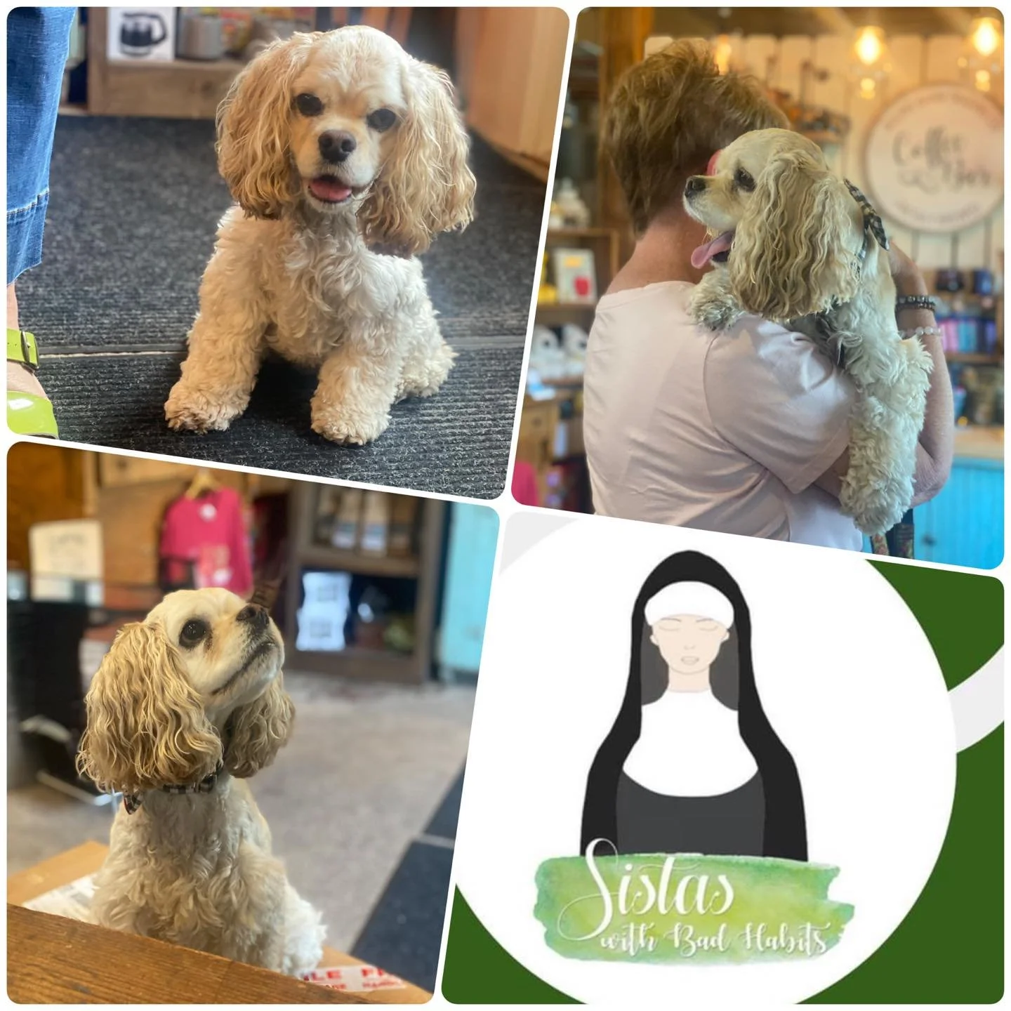 Happy National Dog Day! 🐾. 

Some of our favorite days are days when the 4legged customers come in.🐾 Well behaved pups like Piper are always welcome in The Barn.🐾 Piper comes to work occasionally with her Human Mama, Barn Artisan, Janet  from Sist