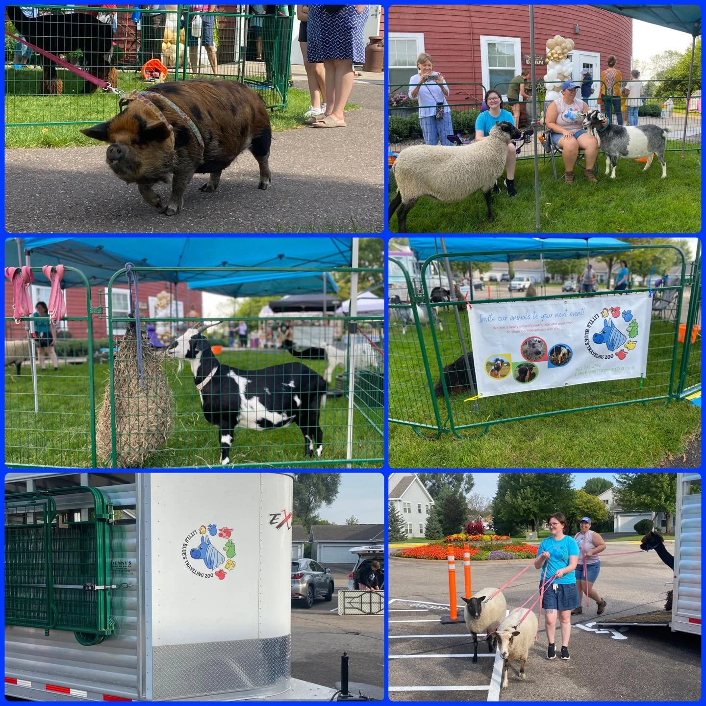 Thank you Little Blue Traveling Zoo! We loved having  you at our 10yr Anniversary!! 

We hope to see you again!!
