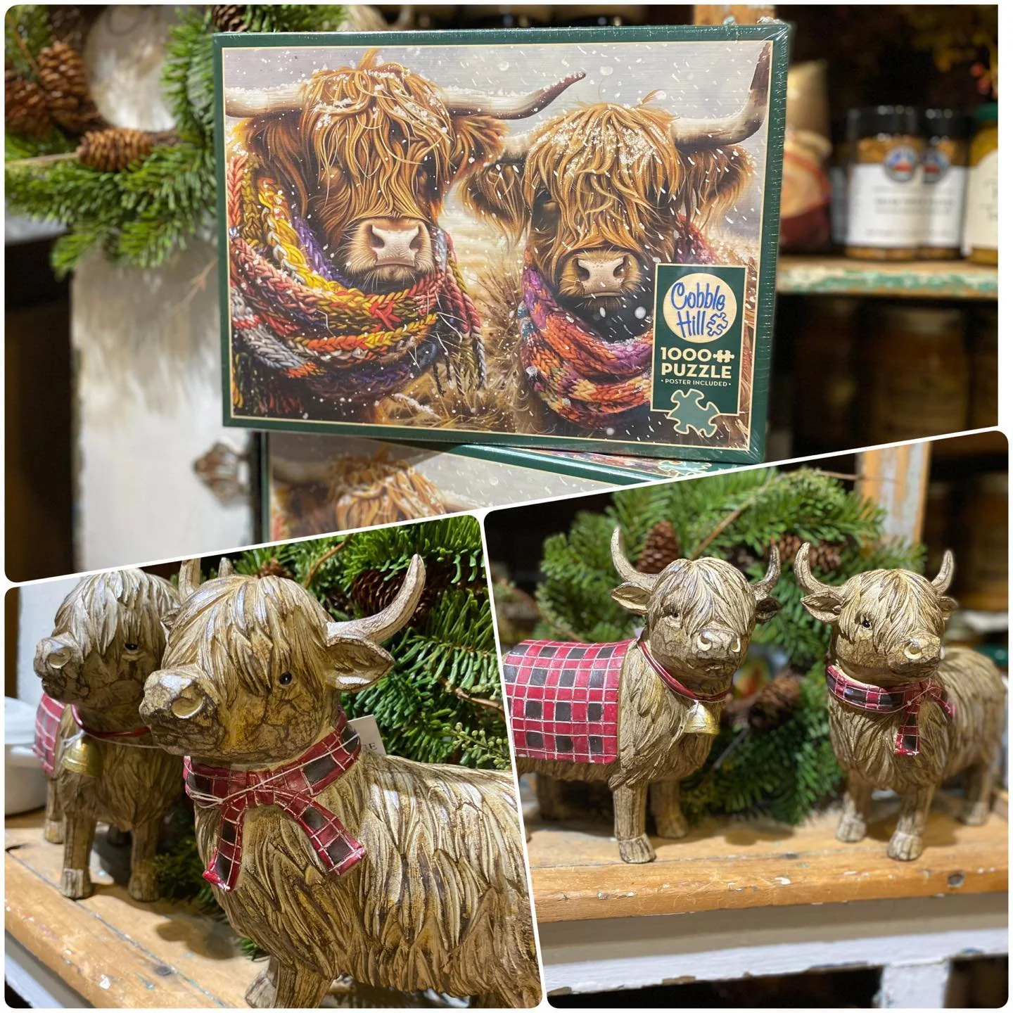 💖 Fluffy, friendly, and full of Friday charm — we’re calling it Highland Friday!
Because honestly… who can resist those shaggy coats, sweet faces, and calm country vibes? 🐮✨
Here’s to a weekend as easygoing (and adorable) a