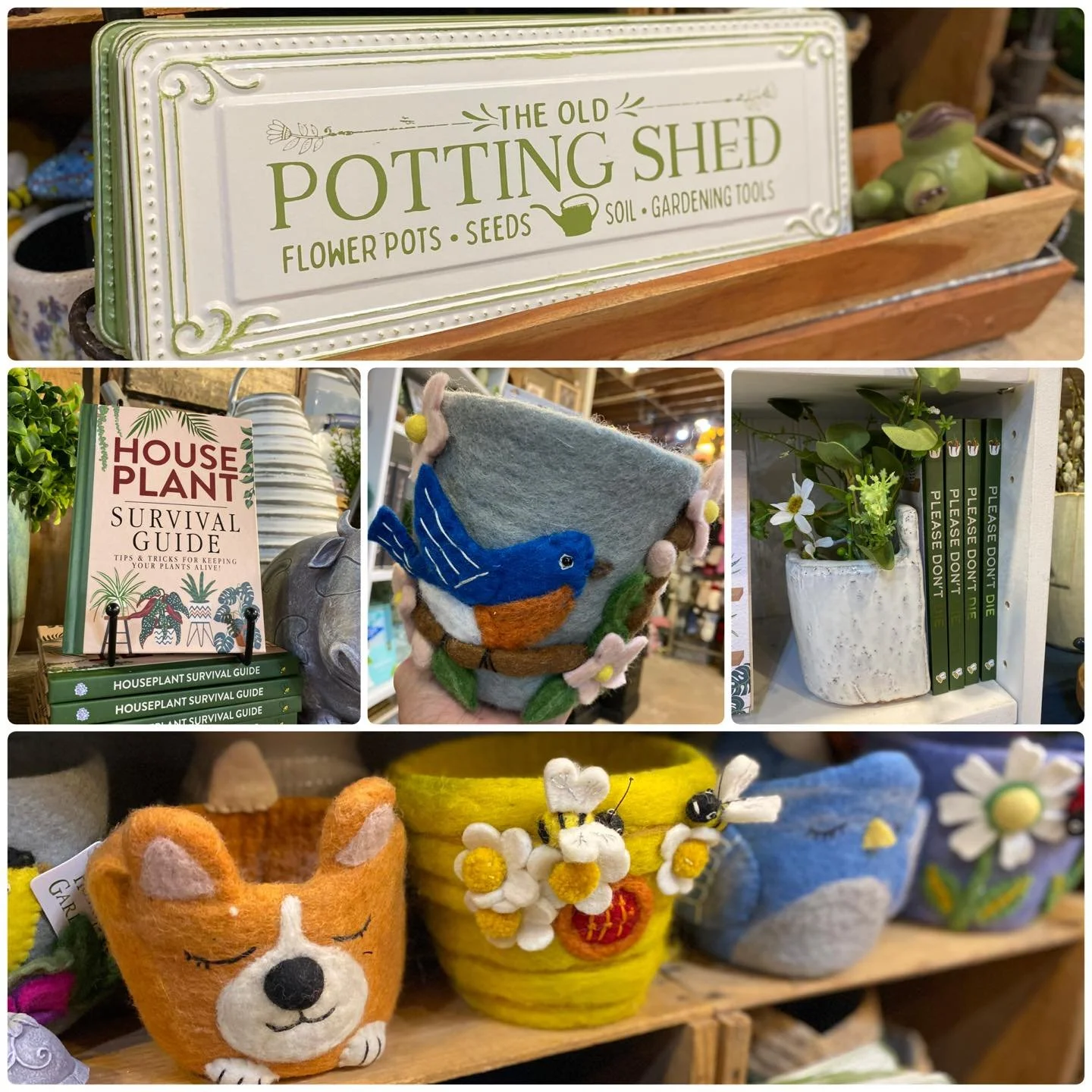 🌿 we felt you and we see you Spring!  Our new arrivals are here and we are ready! The perfect time to come look around inside the barn and see our new garden good and your everyday houseplant accessories- the perfect gift. Now we just need some plan