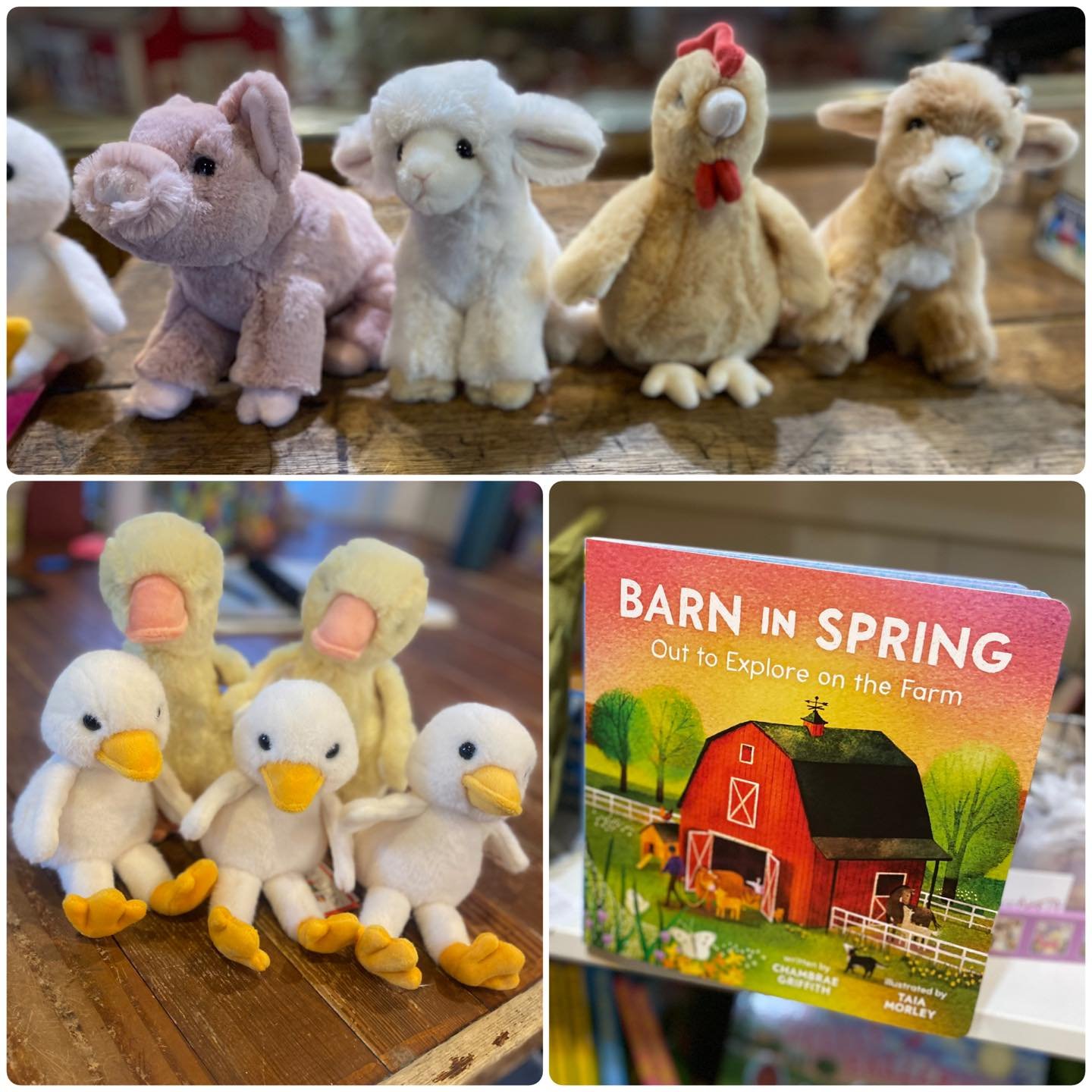 Simply the cutest&hellip;..🐥🐮🐷🐐🐓

Barn Hours:
Monday - Saturday 10am-5pm 
Wednesday 10am-7pm 
Sunday 12pm-4pm